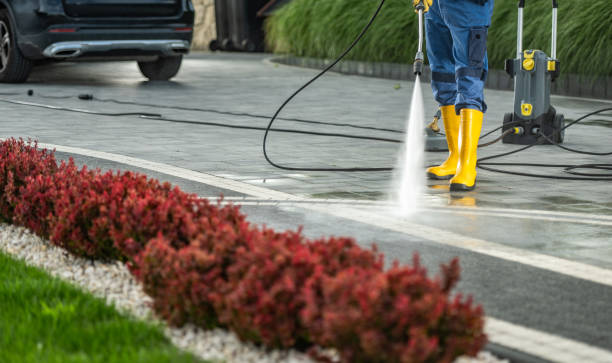 Professional Pressure Washing in Estelle, LA